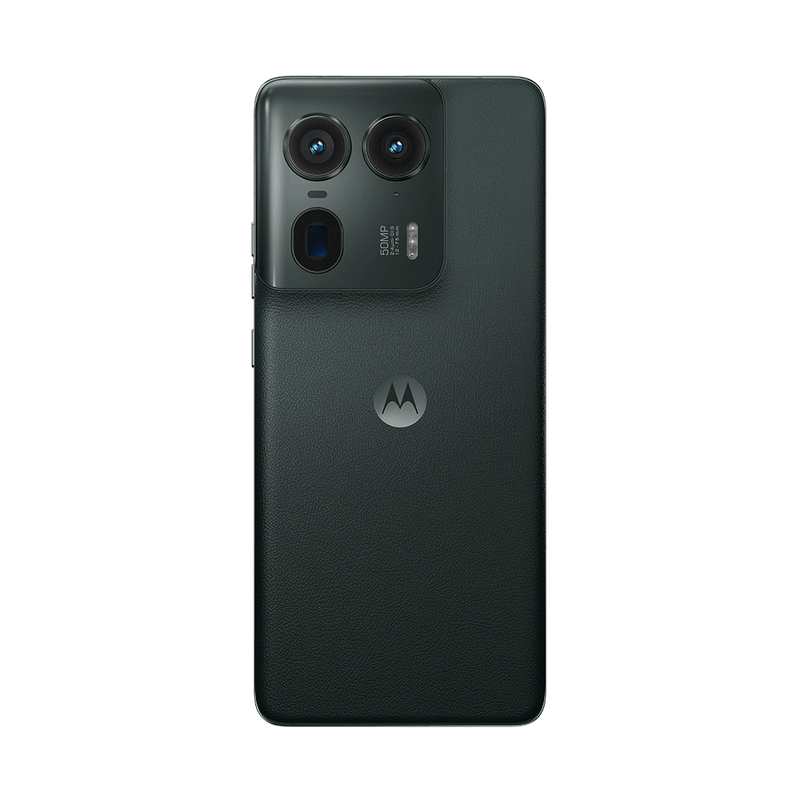 2024_VELAR_BASICPACK_DARKEST-SPRUCE_BACKSIDE.png
