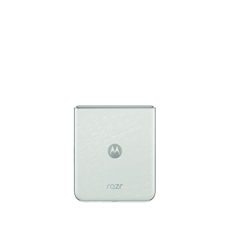 2025_Webb_BasicPack_BLANCO_Backside-copy.png